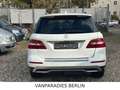 Mercedes-Benz ML 350 CDI BlueTec/TüvNeu/AHK/360*CAM/H&K/ILS/E6 Weiß - thumbnail 23