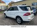 Mercedes-Benz ML 350 CDI BlueTec/TüvNeu/AHK/360*CAM/H&K/ILS/E6 Blanc - thumbnail 25