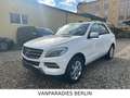 Mercedes-Benz ML 350 CDI BlueTec/TüvNeu/AHK/360*CAM/H&K/ILS/E6 Blanc - thumbnail 2