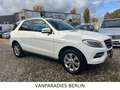 Mercedes-Benz ML 350 CDI BlueTec/TüvNeu/AHK/360*CAM/H&K/ILS/E6 Weiß - thumbnail 24