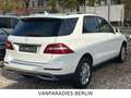 Mercedes-Benz ML 350 CDI BlueTec/TüvNeu/AHK/360*CAM/H&K/ILS/E6 Weiß - thumbnail 21