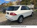 Mercedes-Benz ML 350 CDI BlueTec/TüvNeu/AHK/360*CAM/H&K/ILS/E6 Weiß - thumbnail 22