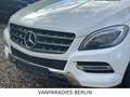 Mercedes-Benz ML 350 CDI BlueTec/TüvNeu/AHK/360*CAM/H&K/ILS/E6 Weiß - thumbnail 13