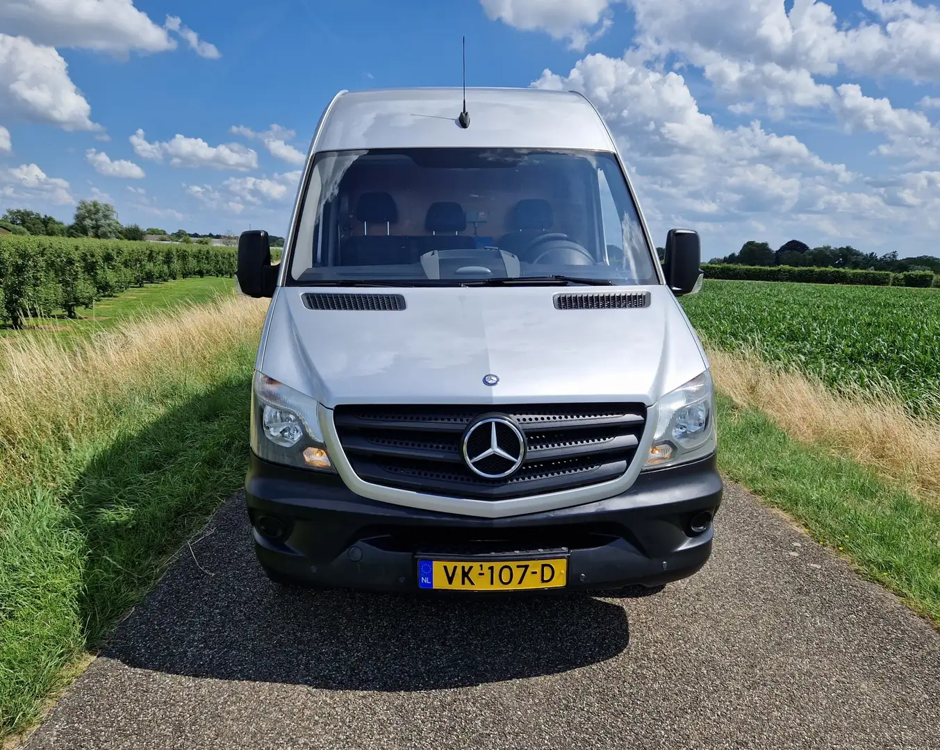 Mercedes-Benz Sprinter 313 2.2 CDI 366 HDDC Grijs - 2