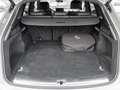 Audi Q5 55 2.0 TFSI e quattro S line S tronic LED ACC Kame Grau - thumbnail 19