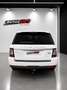 Land Rover Range Rover Sport 3.0SDV6 HSE Aut. Blanco - thumbnail 7