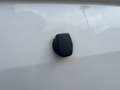 Volkswagen T6 Transporter T6 4 MOTION STANDHZG. REGALSYSTEM KLIMA/AHK Wit - thumbnail 25