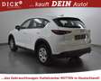 Mazda CX-5 2.0 Prime-Line LED+PDC+MFL+TEMP+KLIMA+DAB Белый - thumbnail 5