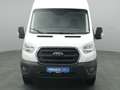 Ford Transit Kasten 350 L4H3 Trend 185PS /AHK Weiß - thumbnail 6