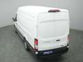 Ford Transit Kasten 350 L4H3 Trend 185PS /AHK Weiß - thumbnail 43