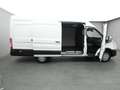 Ford Transit Kasten 350 L4H3 Trend 185PS /AHK Weiß - thumbnail 47