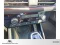 Skoda Kamiq 1.0 TSI Monte Carlo DSG LED Navi ACC RFK PDC Smart Grau - thumbnail 17