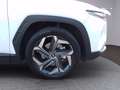 Hyundai TUCSON NEW 1.6HEV AT 230 EXELLENCE 21 Bianco - thumbnail 9