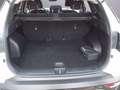 Hyundai TUCSON NEW 1.6HEV AT 230 EXELLENCE 21 Bianco - thumbnail 14