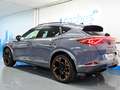 CUPRA Formentor 2.0 TSI Launch Edition Gris Graphene DSG 4Drive Grau - thumbnail 8