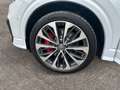 Audi SQ2 qu. S-tronic Schwarzpaket*19Z*B&O Alb - thumbnail 14