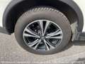 Nissan X-Trail 2.0 dCi 4WD Tekna Wit - thumbnail 12