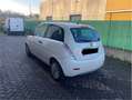 Lancia Ypsilon 1.4 8v E-Collection ecochic Gpl - thumbnail 5