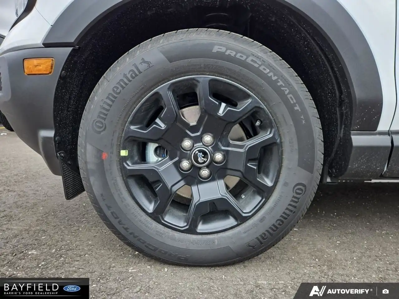 Ford Bronco Sport снимка Ford Bronco Sport