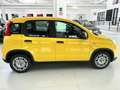 Fiat New Panda Panda 1.0 FireFly S&S Hybrid - thumbnail 4