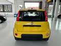 Fiat New Panda Panda 1.0 FireFly S&S Hybrid - thumbnail 7