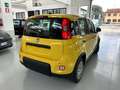 Fiat New Panda Panda 1.0 FireFly S&S Hybrid - thumbnail 5