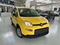 Fiat New Panda Panda 1.0 FireFly S&S Hybrid - thumbnail 3