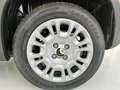Fiat New Panda Panda 1.0 FireFly S&S Hybrid - thumbnail 16