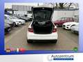 Mercedes-Benz CLC 220 CDI Aut.Sport Paket *LEDER*PANO*BI-XENON Weiß - thumbnail 15