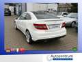 Mercedes-Benz CLC 220 CDI Aut.Sport Paket *LEDER*PANO*BI-XENON Weiß - thumbnail 2