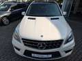 Mercedes-Benz ML 63 AMG *PANO*SCHECKHEFT*360°Kamera*AHK*BiXenon Weiß - thumbnail 5
