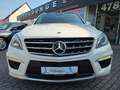 Mercedes-Benz ML 63 AMG *PANO*SCHECKHEFT*360°Kamera*AHK*BiXenon Weiß - thumbnail 6