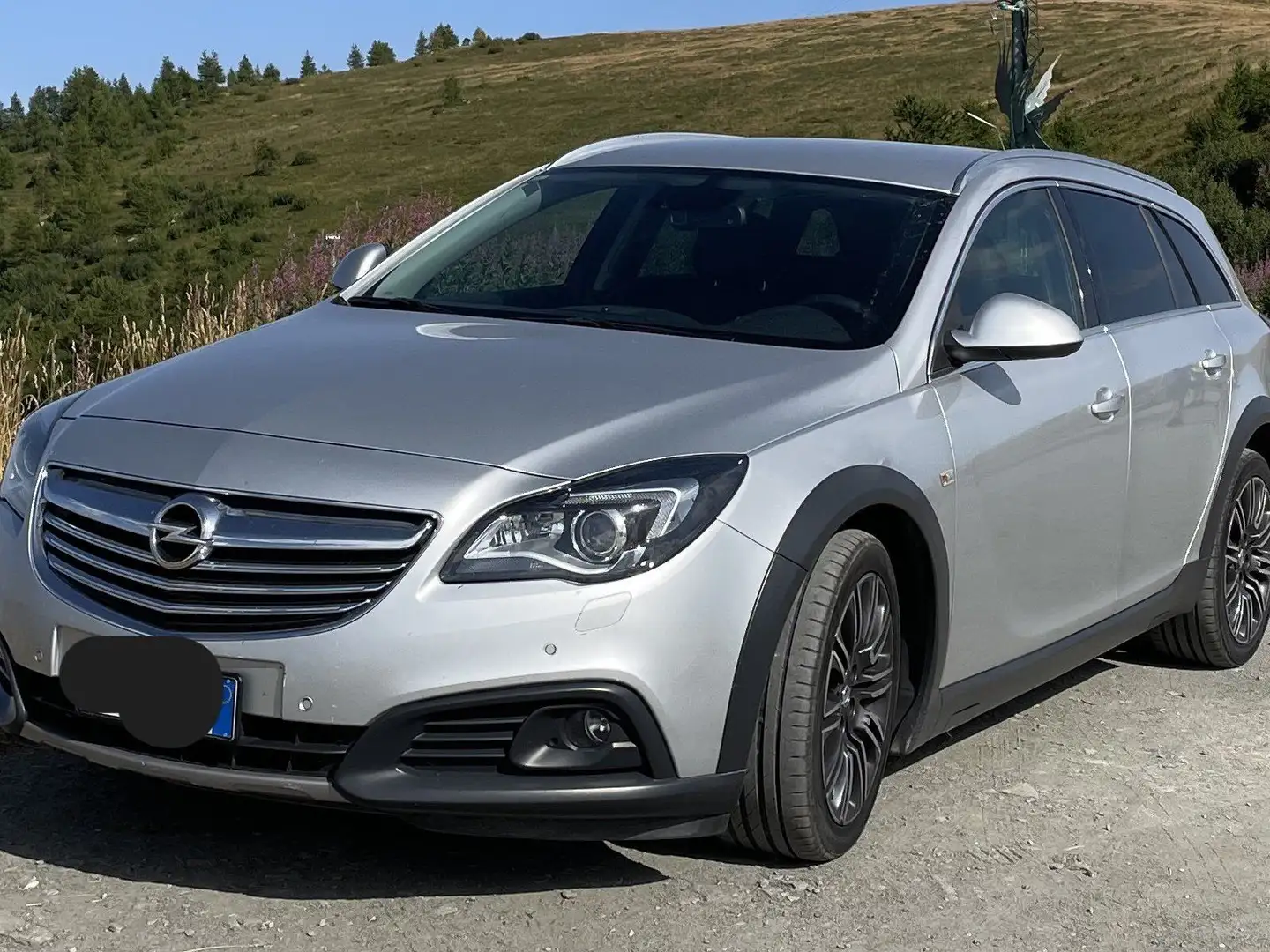 Opel Insignia Insignia 2014 Country Tour 2.0 cdti 4x4 163cv auto Argento - 1
