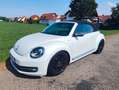 Volkswagen Beetle Cabriolet"iBeetle Design"Bi-Xenon*el.DACH Blanc - thumbnail 12