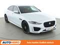 Jaguar XE 25t R-Dynamic SE Aut.*LED*CAM*PDC*SHZ*KLIMA* Weiß - thumbnail 8