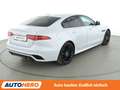 Jaguar XE 25t R-Dynamic SE Aut.*LED*CAM*PDC*SHZ*KLIMA* Weiß - thumbnail 6