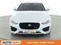 Jaguar XE 25t R-Dynamic SE Aut.*LED*CAM*PDC*SHZ*KLIMA* Weiß - thumbnail 9