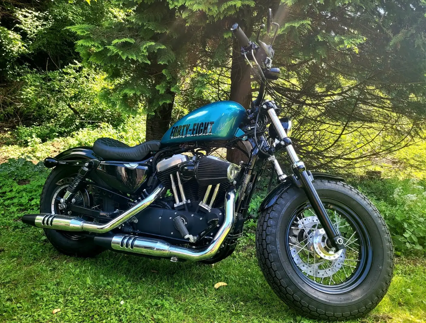 Harley-Davidson Sportster Forty Eight Niebieski - 2