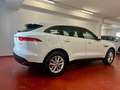 Jaguar F-Pace 2.0i4D Pure Aut. AWD 180 Blanco - thumbnail 10