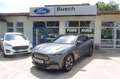 Ford Mustang Mach-E Mustang MACH-E AWD (Standard Range) Grau - thumbnail 1
