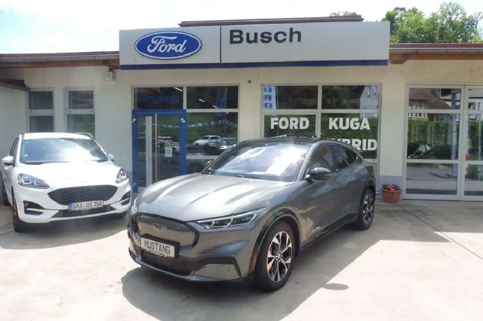 Ford Mustang Mach-E Mustang MACH-E AWD (Standard Range) Gris - 1