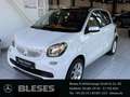 smart forFour 52 kW Passion+Cool & Audio+Pano-Dach+Komfort-P. BC Weiß - thumbnail 1
