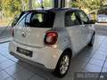 smart forFour 52 kW Passion+Cool & Audio+Pano-Dach+Komfort-P. BC Weiß - thumbnail 5