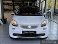 smart forFour 52 kW Passion+Cool & Audio+Pano-Dach+Komfort-P. BC Weiß - thumbnail 2