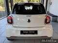 smart forFour 52 kW Passion+Cool & Audio+Pano-Dach+Komfort-P. BC Weiß - thumbnail 6