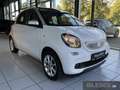 smart forFour 52 kW Passion+Cool & Audio+Pano-Dach+Komfort-P. BC Weiß - thumbnail 3