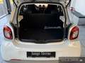 smart forFour 52 kW Passion+Cool & Audio+Pano-Dach+Komfort-P. BC Weiß - thumbnail 7