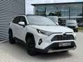 Toyota RAV 4 2.5 Hybrid Pano/Leder/JBL/360Cam/Apple Weiß - thumbnail 3