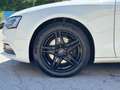 Audi A5 Sportback 2,0TDI Ultra+Navi+Voll-leder+Sitzheizung Weiß - thumbnail 10