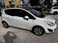 Opel Meriva 1.3 cdti Elective b-Color tetto panoramico Blanco - thumbnail 5